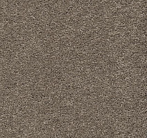 Ковролин AW Vivendi Punch 37 фото 1 | FLOORDEALER